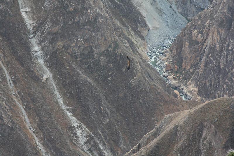 918-Cruz del condor,15 luglio 2013.JPG